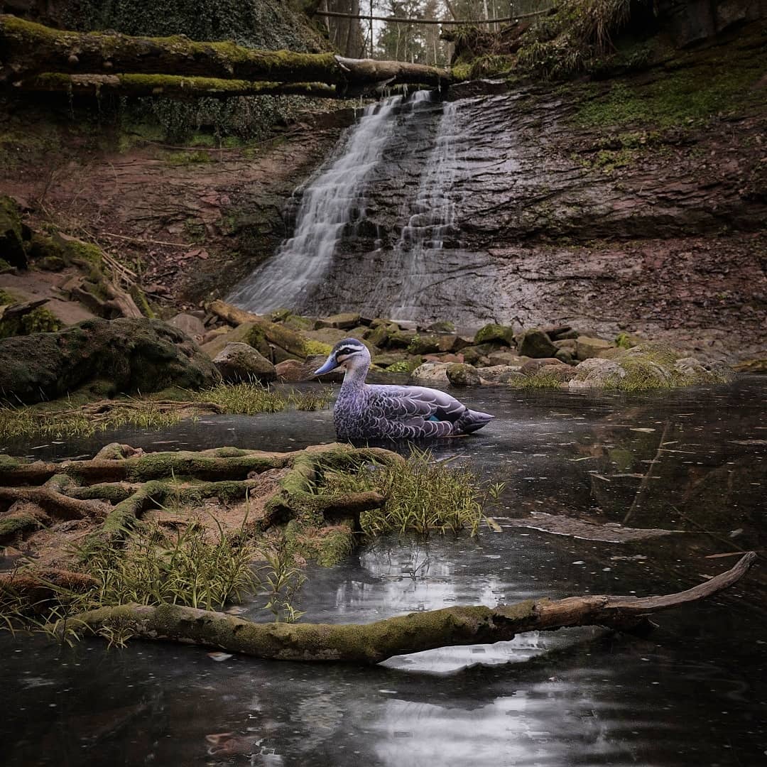 Lake Image
